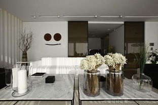 Tanju zelgin伊斯坦布尔豪华银色S住宅室内设计